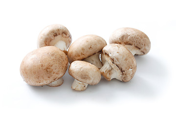 Image showing Brown mushrooms