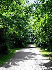 Image showing Wood alley