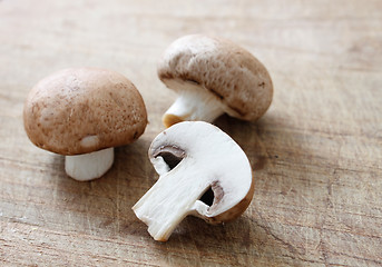 Image showing Brown mushrooms