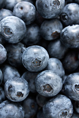 Image showing Blueberries