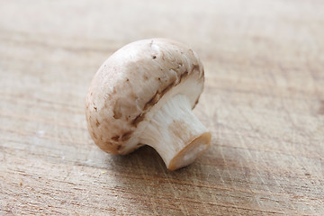 Image showing Brown mushrooms