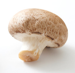 Image showing Brown mushrooms