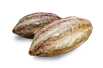 Image showing Cocoa fruit