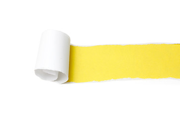 Image showing Paper peel