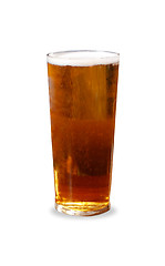 Image showing Pint of beer