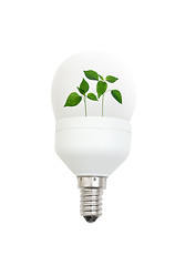 Image showing Light bulb with leaves