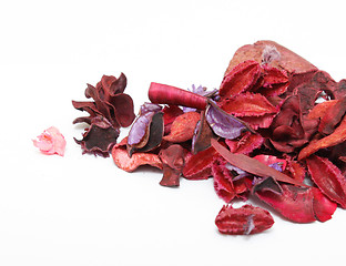 Image showing Potpourri