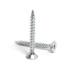 Image showing Screws