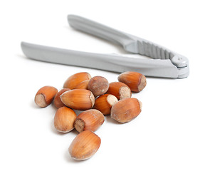 Image showing Hazelnut and nutcracker