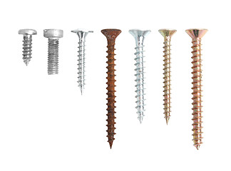 Image showing Screws isolated on white