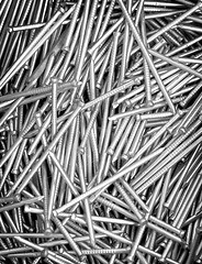 Image showing Steel nails