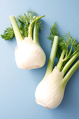 Image showing Fennel