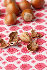 Image showing Hazelnuts