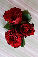 Image showing Roses