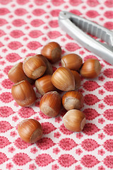 Image showing Hazelnuts