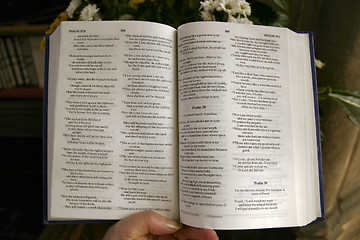 Image showing reading a book of psalms