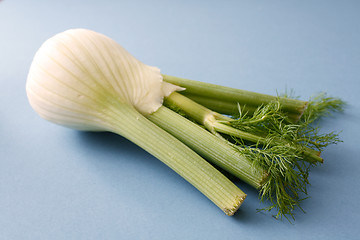 Image showing Fennel