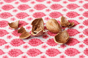 Image showing Hazelnuts