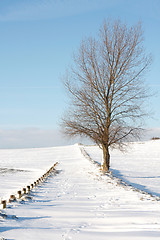 Image showing Snow