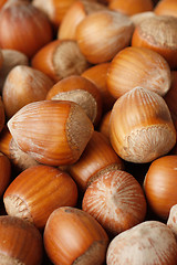 Image showing Hazelnuts