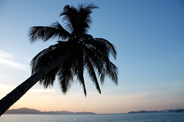Image showing Exotic sunset