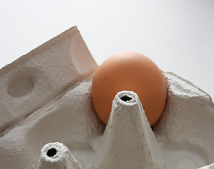 Image showing Egg