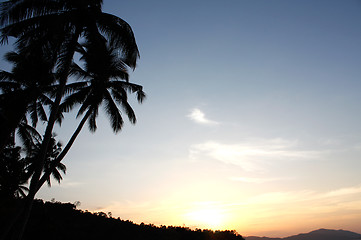 Image showing Exotic sunset