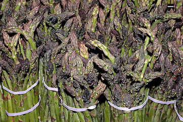 Image showing Forest of asparagus