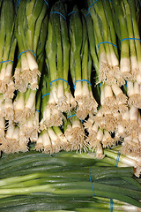 Image showing Green onions galore