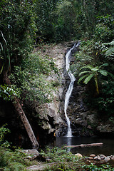 Image showing Waterfall