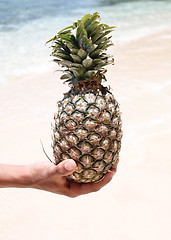 Image showing Pineapple