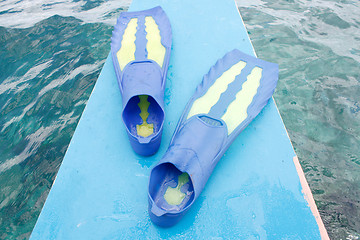 Image showing Fins