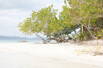 Image showing Beach