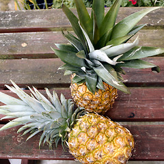 Image showing two fresh pineapples