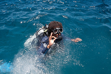 Image showing Diver