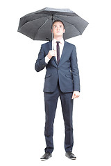 Image showing Business man under umbrella