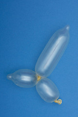 Image showing Balloon penis 