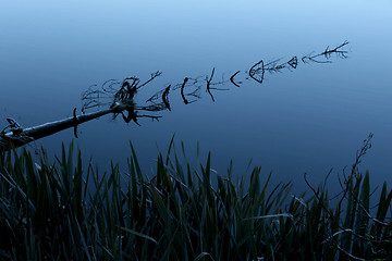 Image showing Reflection in Lake Matheson