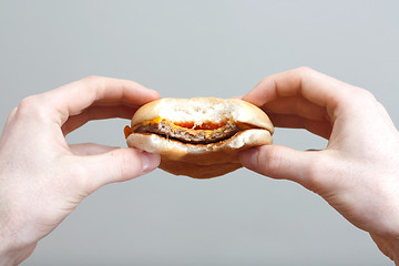 Image showing Man eating burger