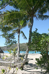 Image showing Hammock on beach