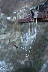 Image showing Bungy Jump