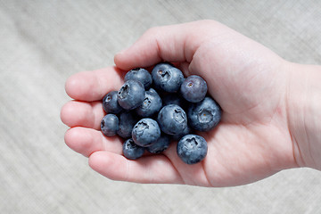 Image showing Handful of blueberries