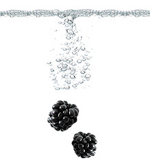 Image showing Blackberries