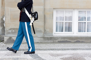 Image showing Royal Danish Guard