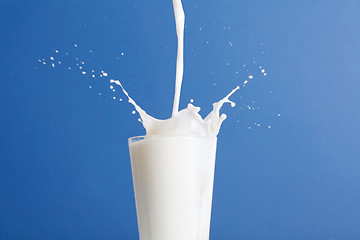 Image showing Milk