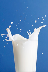 Image showing Milk