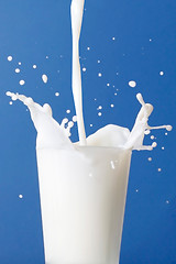 Image showing Milk