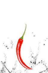 Image showing Fresh Chili