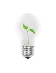 Image showing Light bulb