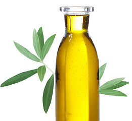 Image showing Olive oil